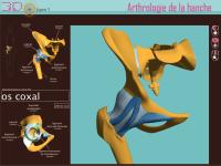 arthrologie de la hanche.pdf
