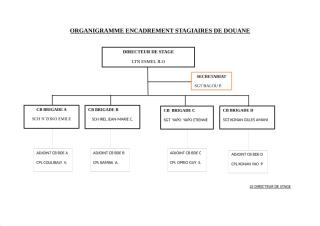 Organigramme_Encadrement_stagiaires_de_douane.docx