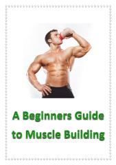 A Beginners Guide to Muscle Building.pdf